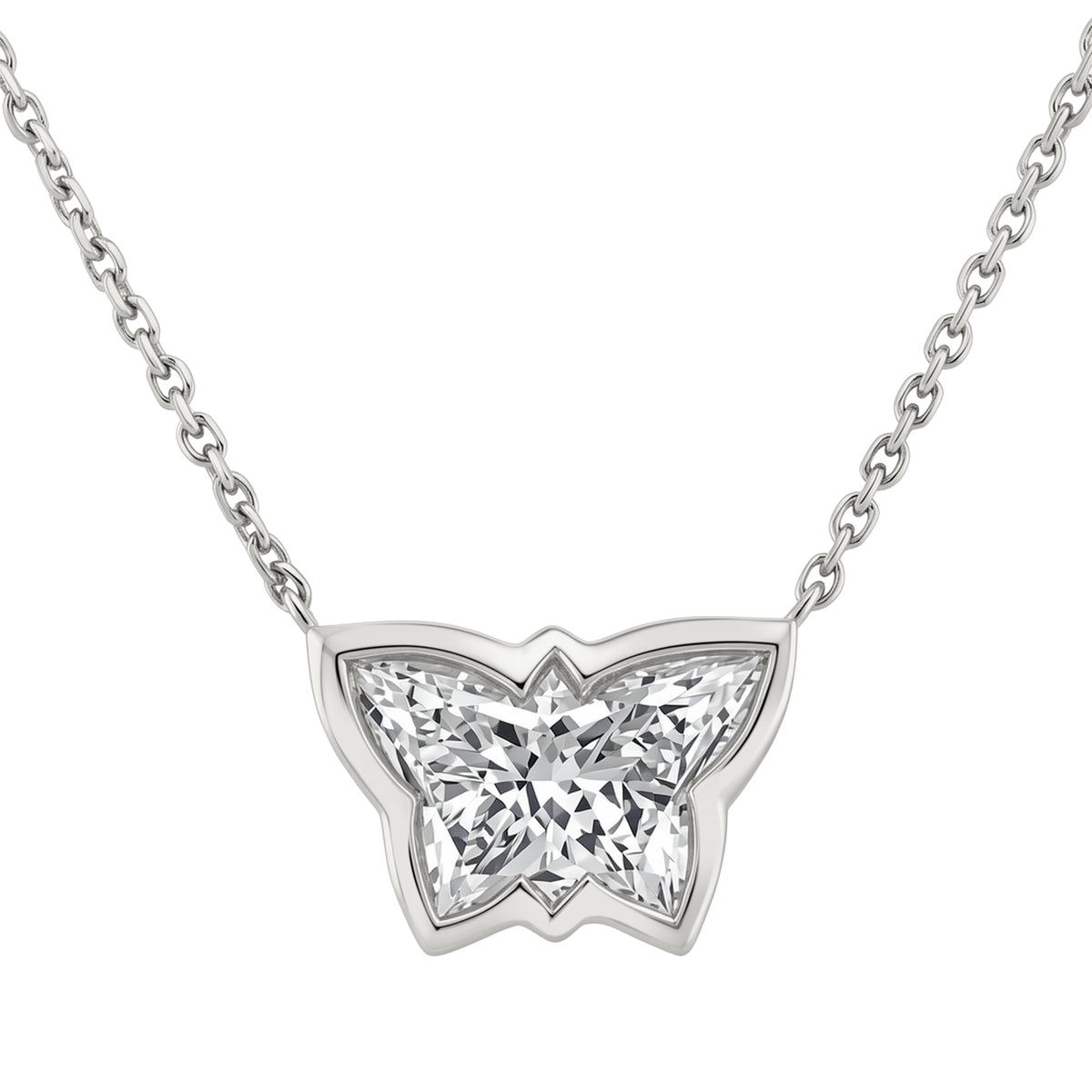 The Butterfly